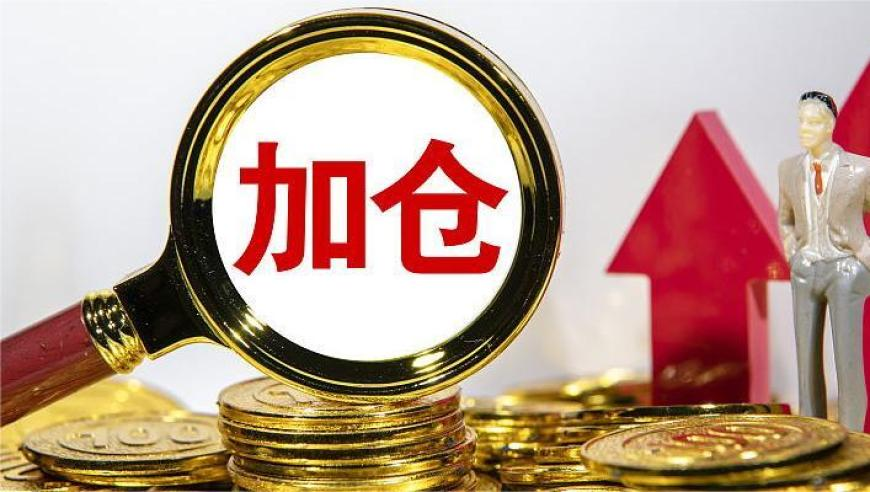 德国企业破产数量持续上升,四肖八码期期准精精准,准确资料解释落实_工具版V13.62