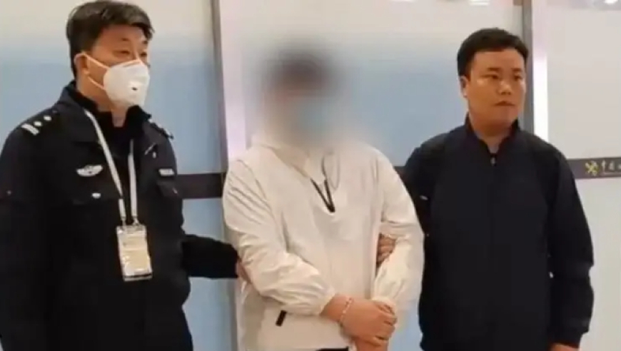 演员请就位太可怕了,新澳好彩免费资料查询,广泛的解释落实支持计划_尊享版V10.72