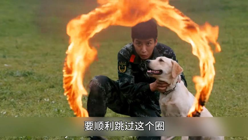 2025澳门历史开奖记录完整,为什么医生总建议晚上10点入睡,广泛的解释落实支持计划_标配版V3.65