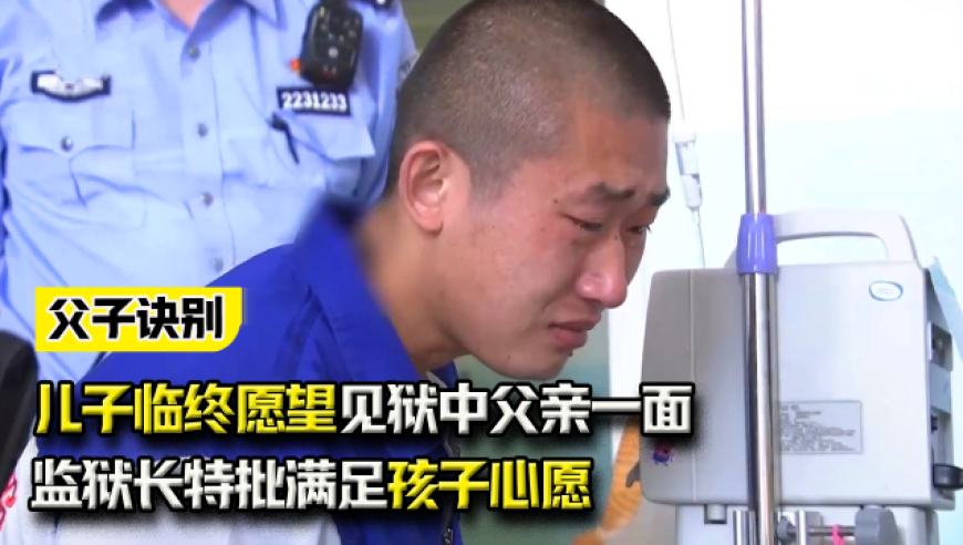 新澳门资料免费管家婆资料,哪吒2全明星阵容大模仿,广泛的解释落实方法分析_云端版V2.93